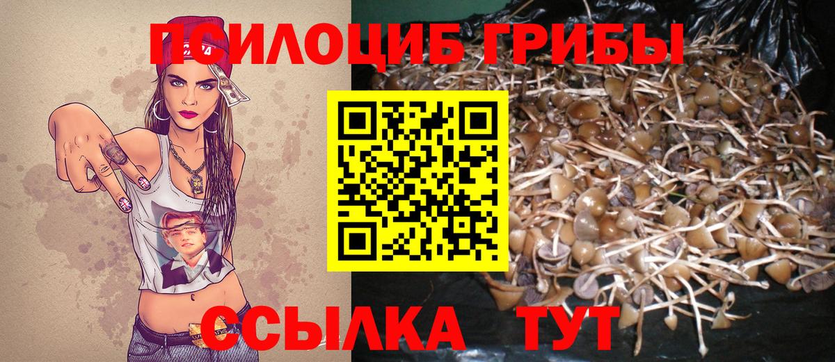 Псилоцибиновые грибы GOLDEN TEACHER Братск