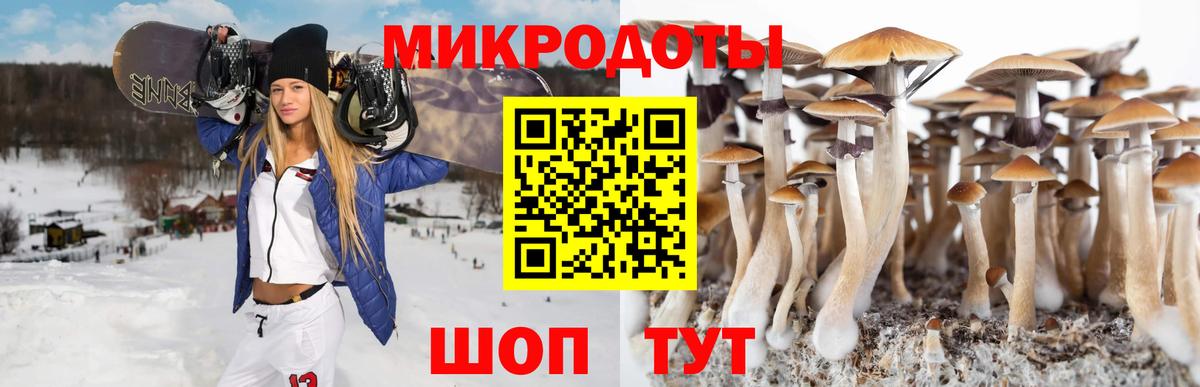 где можно купить наркотик  Псилоцибиновые грибы ЛСД  Вход с VPN  Братск 